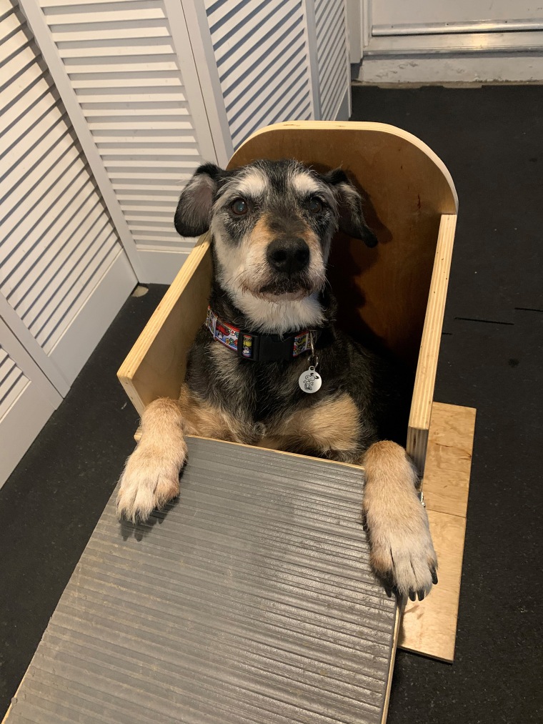 Pawpaw sits expectantly in his Bailey chair.