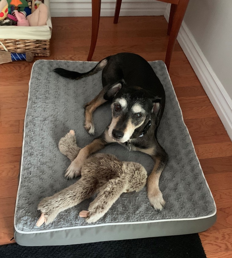 Pawpaw with his favorite toy, a stuffed sloth.