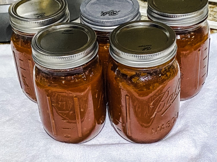 The recipe allowed me to freeze plenty of extra sauce for many more meals.