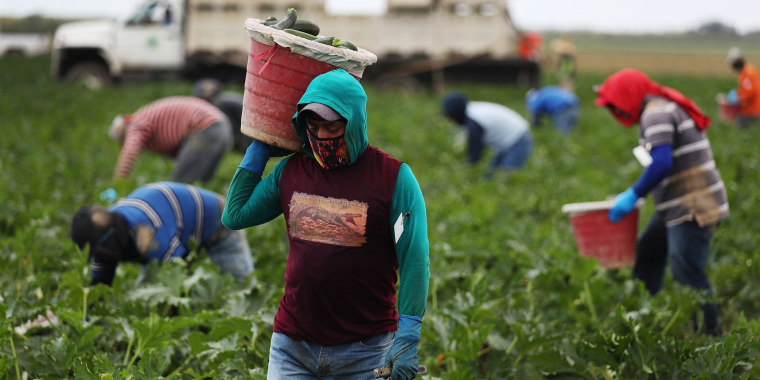 Activists call on Florida governor to prioritize vaccines for farmworkers