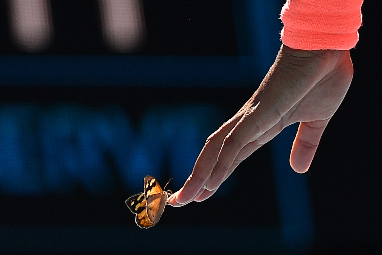 PHOTOS: Naomi Osaka Butterfly Encounter at Australian Open