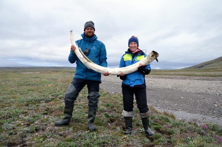 Love Dalen and co-lead author Patricia Peccnerovaa with an ancient mammoth tusk on Siberia's Wrangel Island.