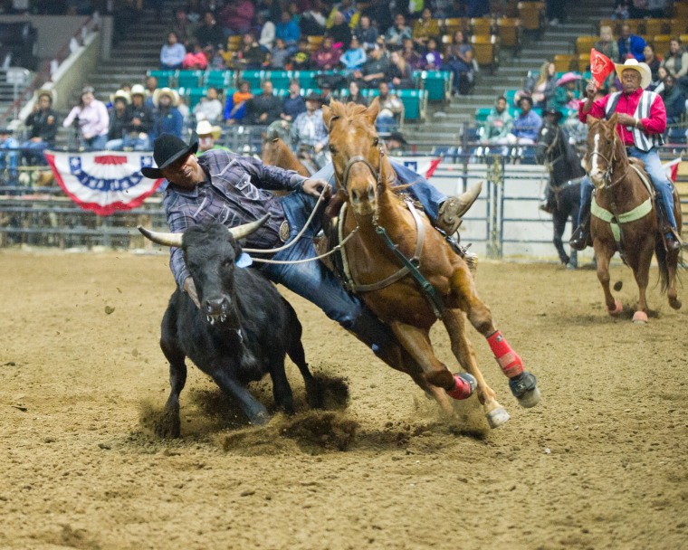 Steer Wrestling