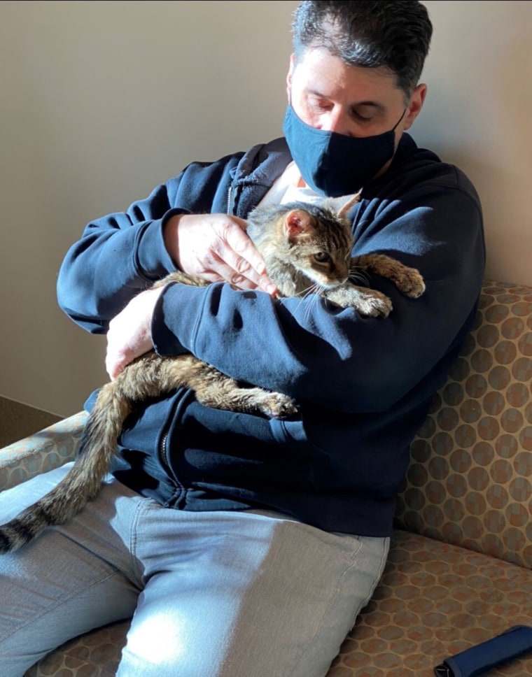 Image: Brandy the brown tabby cat reunited with her owner after 15 years
