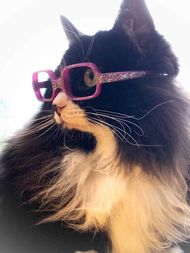 Truffles models glittery glasses