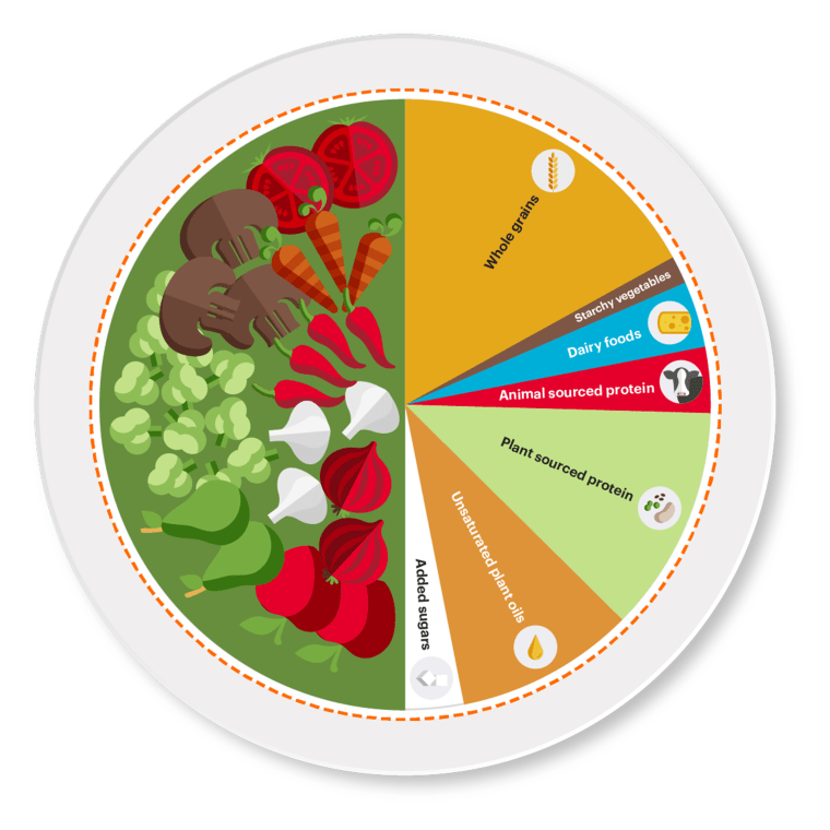 Researchers who worked on the EAT Lancet Report created this simple infographic to show what planetary diet portions look like on the plate.