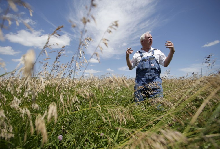 A farmer stands in his field of grass which is part of the Conservation Reserve Program near Corydon, Iowa, on July 26, 2013.