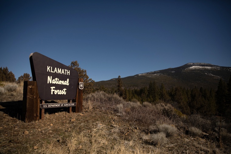 Image: The entrance to Klamath National Forest, where Pedro Rios was employed, outside of Weed, Calif., on Feb. 23, 2021.