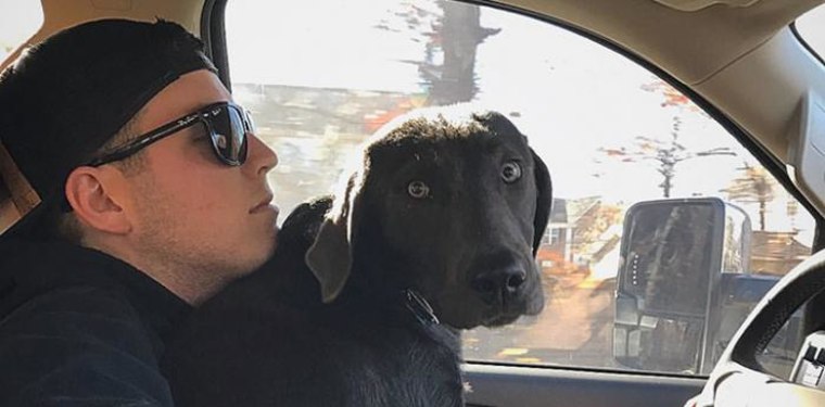 Alex Bowman drives with his dog Finn.