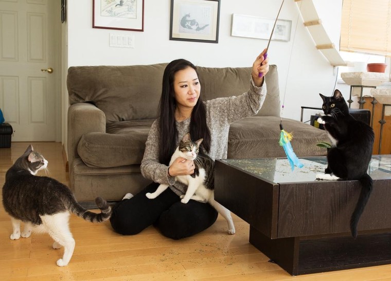 Christina Ha plays with her rescue cats.