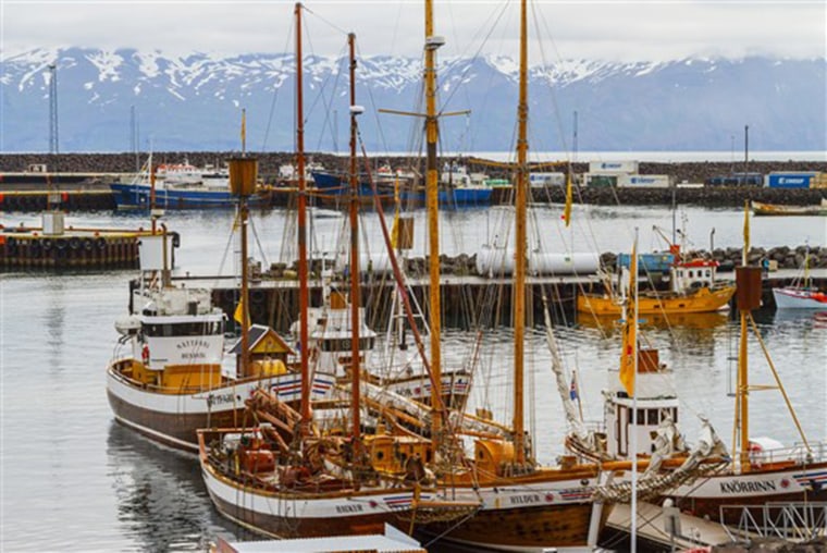 Húsavík on Iceland's north coast has become the "whale capital" of the country.
