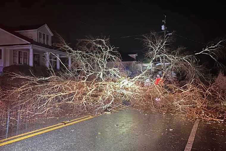 Image: A road is blocked by trees after a tornado touched down in the early morning hours causing severe damage in Newnan, Ga.