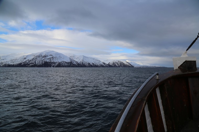 Image: Captain Heimir Hardarson takes whale watchers out on his boat in Husavik, Iceland.