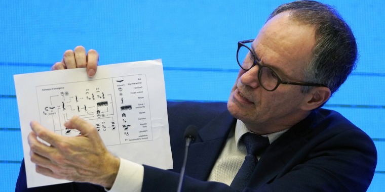 Peter Ben Embarek of the World Health Organization team holds up a chart showing pathways of transmission of the coronavirus during a news conference at the end of the WHO mission in Wuhan in central China's Hubei province on Feb. 9.