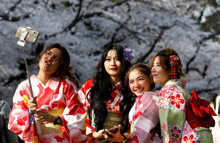 Image: Kimono-clad women from Thailand take selfies among blooming cherry blossoms at Ueno Park in Tokyo, Japan