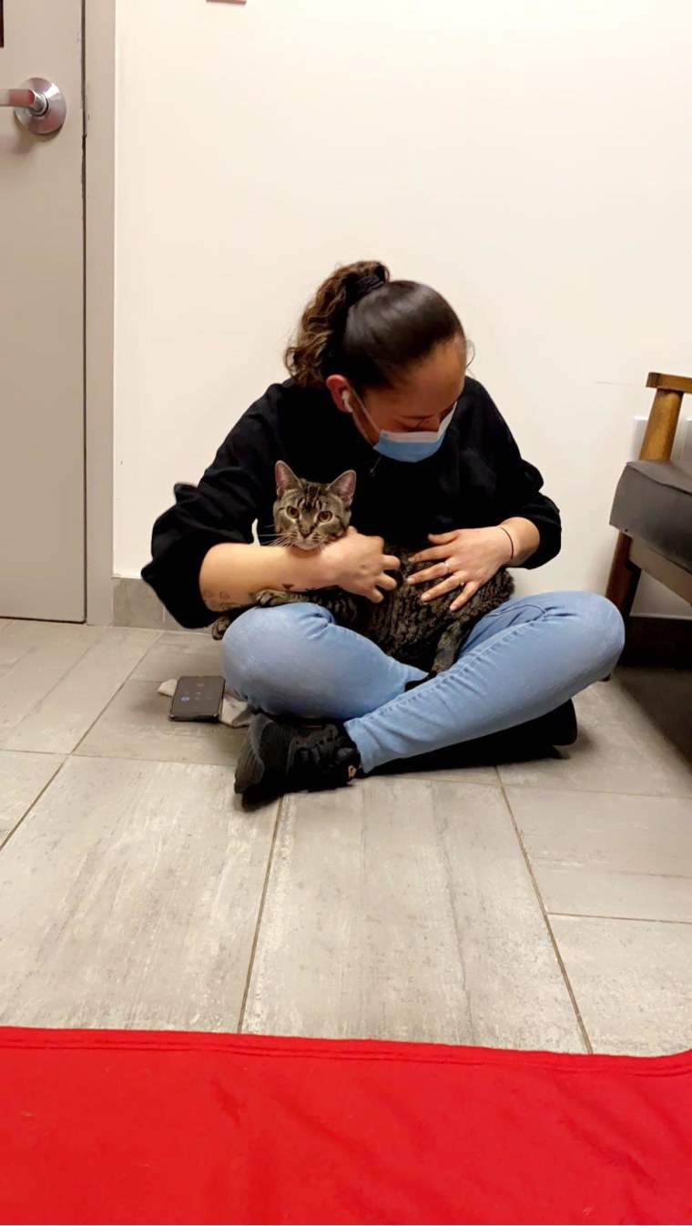 A reunion between fire survivor and her cat