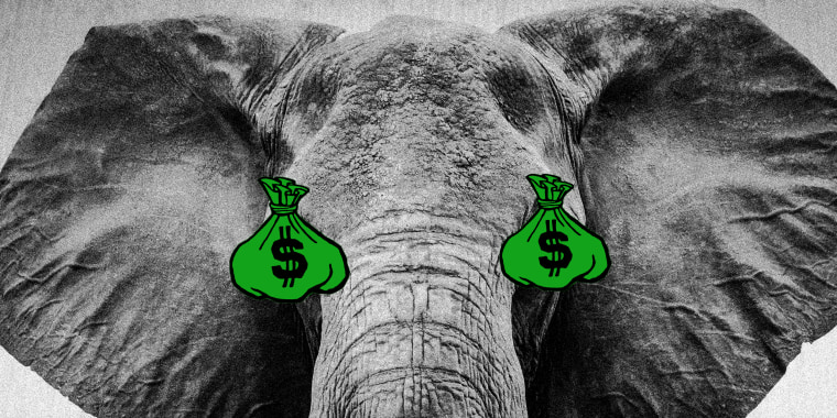 Photo illustration of an elephants head with moneybags for eyes.