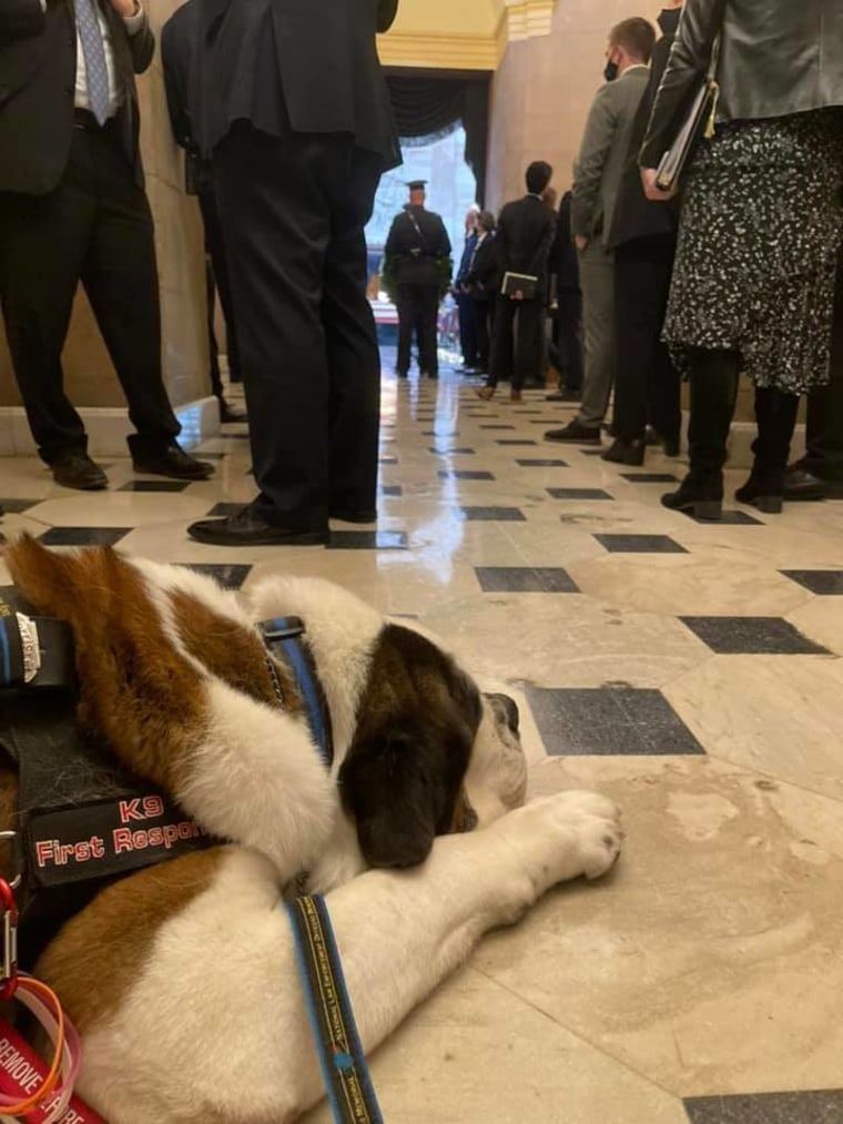 Officer Clarence rests near the body of Capitol police officer William "Billy" Evans.