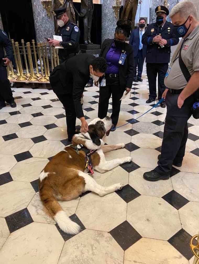Officer Clarence enjoys attention at the U.S. Capitol.