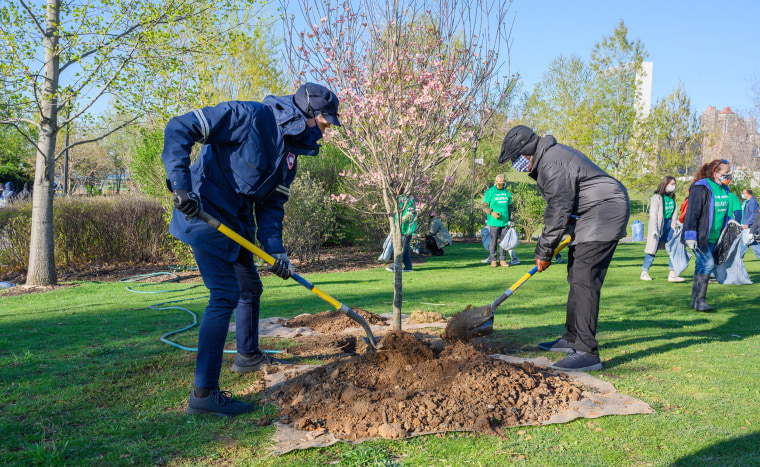 Al Roker and Bill Nye plant a tree live on TODAY.