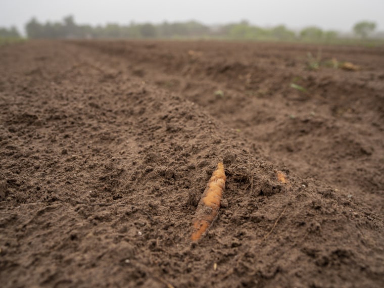 TEXAS CLIMATE CHANGE AFFECTS FARMERS