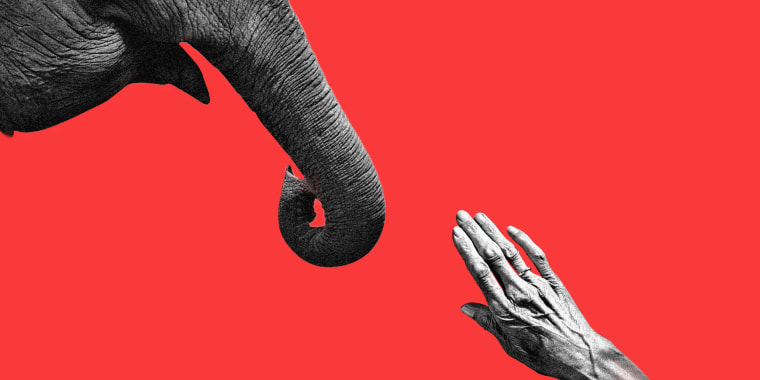 Photo illustration: An elderly hand reaches out to an elephant trunk.
