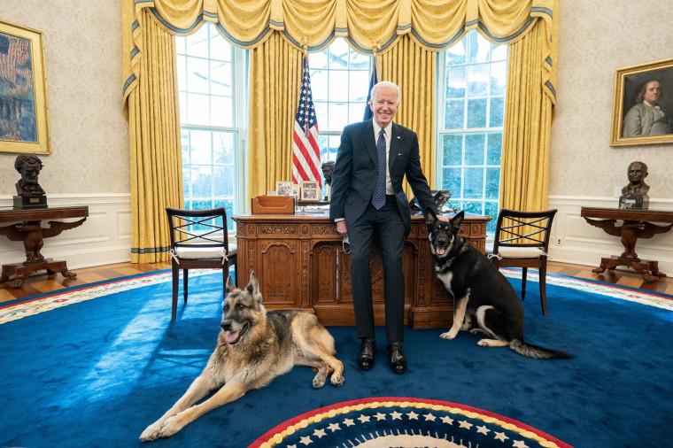 Image: President Joe Biden poses with the Biden family dogs Champ and Major Tuesday, Feb. 9, 2021, in the Oval Office.