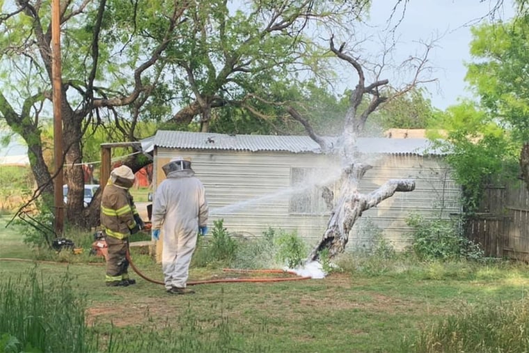 Firefighters with the Breckenridge Fire Department respond to a bee attack in Stephens County, Texas, on April 26, 2021.
