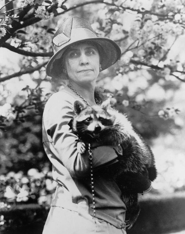 IMage: Grace Coolidge holds her pet raccoon, Rebecca, c. 1921.