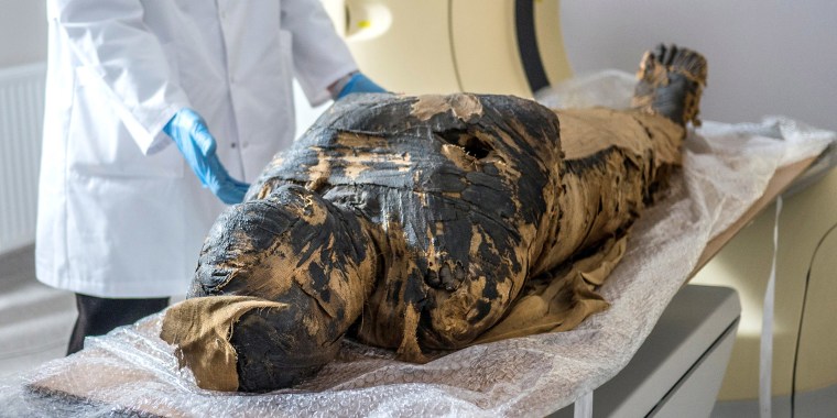 Image: A scientist makes CT scan of a pregnant Egyptian mummy during a research work in this undated handout photo