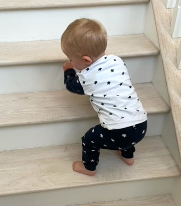 Ollie is learning to navigate the stairs. 