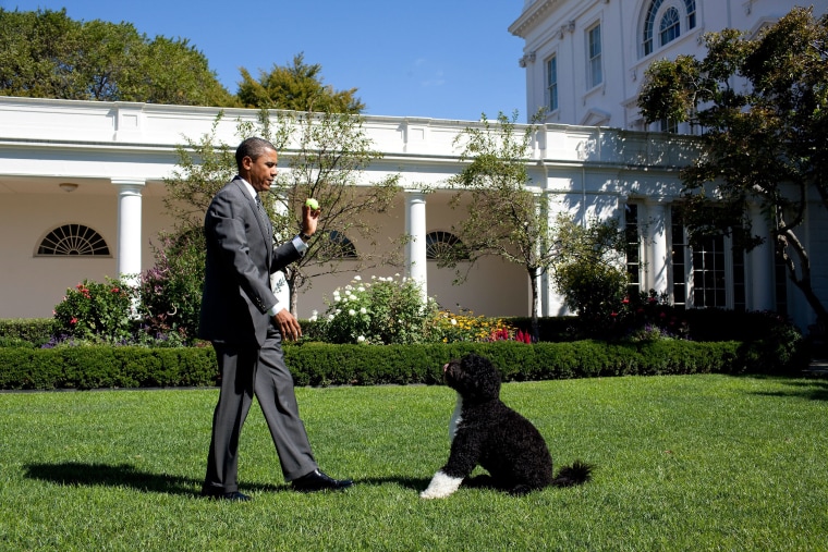 Image: President Barack Obama