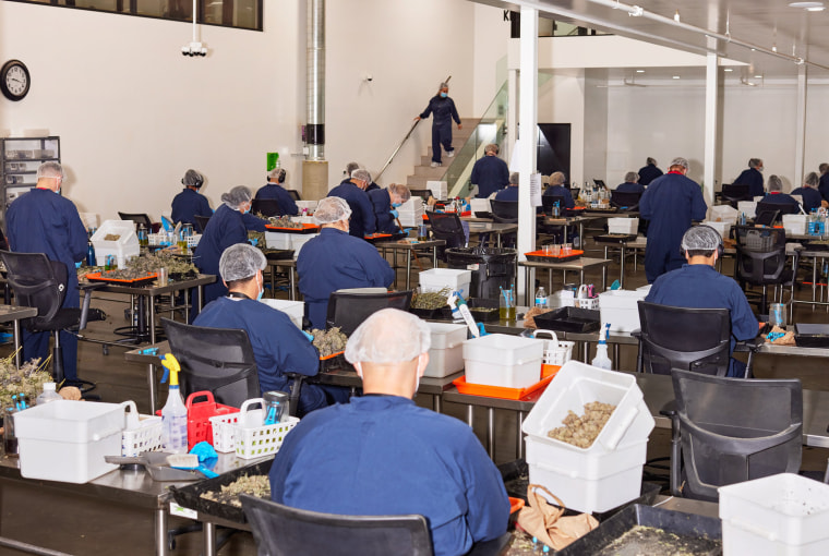 Image: The sorting room at Kings Garden in Desert Hot Springs, Calif.