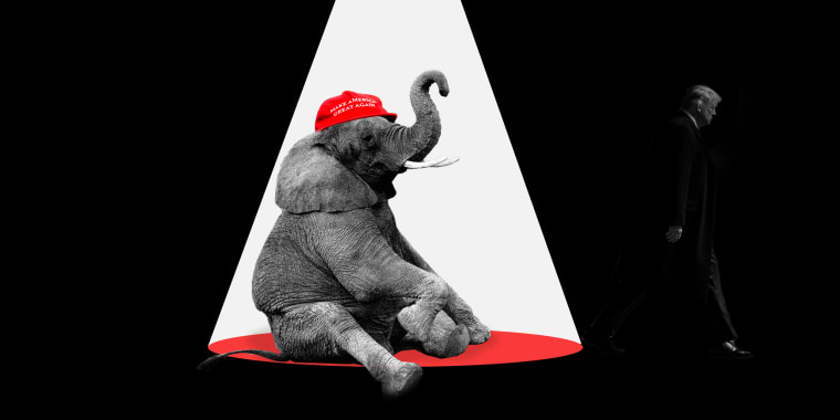 Photo illustration: An elephant sits under the spotlight wearing a red hat that reads,\"Make America Great Again\" as Donald Trump walks into the shadow..