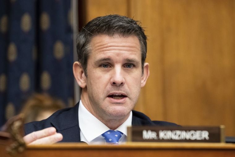 Image: Rep. Adam Kinzinger, R-Ill., at a hearing at the Capitol on Nov. 13, 2019.
