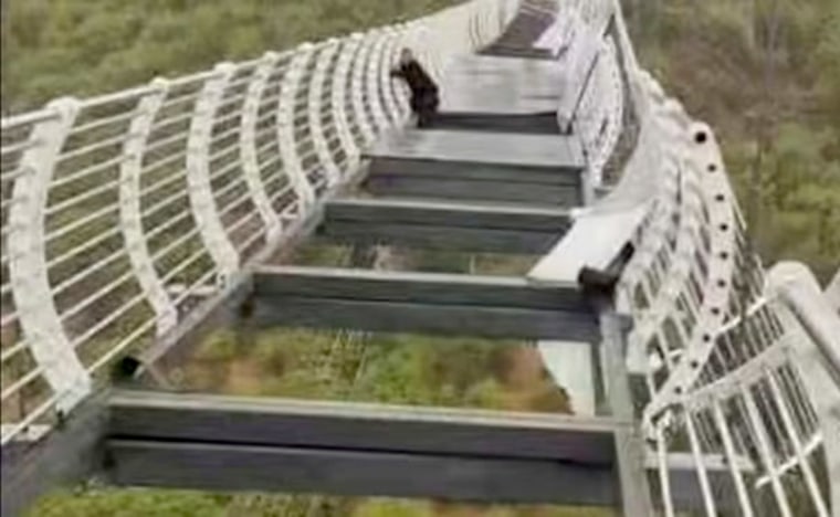 Image: A tourist can be seen clinging to the shattered glass-bottomed bridge in Longjing, China.