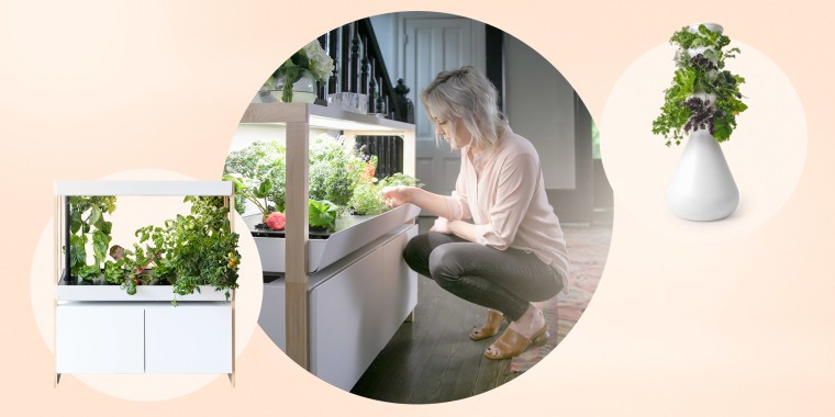 Shop the best indoor garden kits, whether you're a beginner or an expert gardener. The best indoor garden systems are from AeroGarden, Lettuce Grow and more.