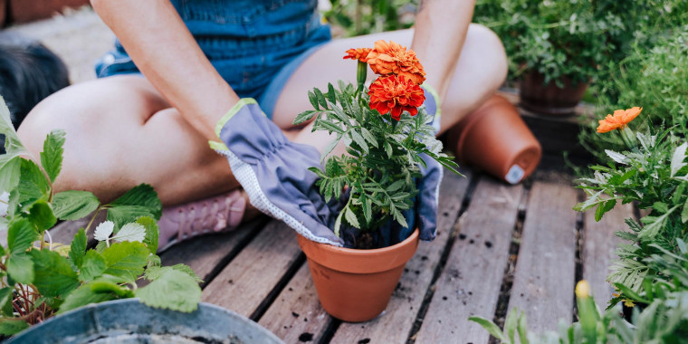 Woman planting flower in pot while sitting at garden, using gardening gloves. We have rounded up the best gardening gloves to help you with pruning, planting and digging. Shop gardening gloves from Showa Atlas, Coolibar and more.