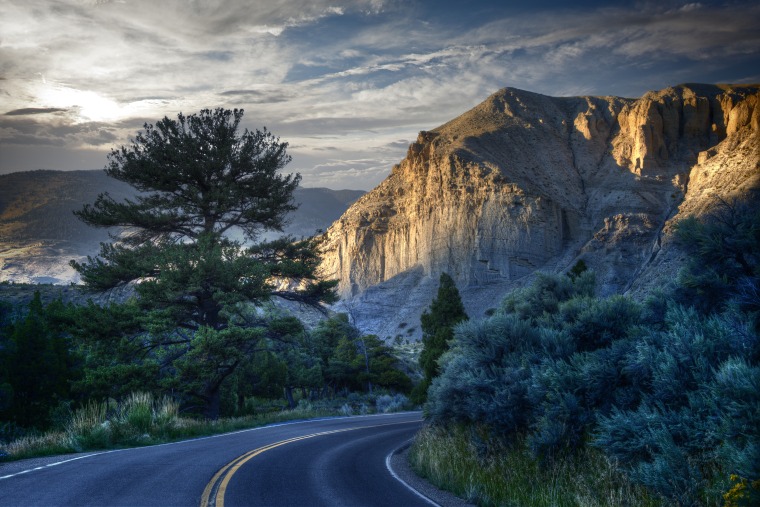 Curving Road in Yellowstone, Dusk
