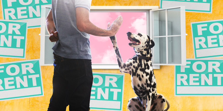 Illustration of dog high-fiving human with a sign of "for rent" near.