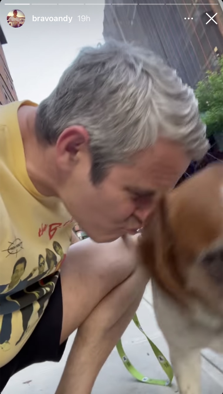 Andy Cohen reunites with dog Wacha