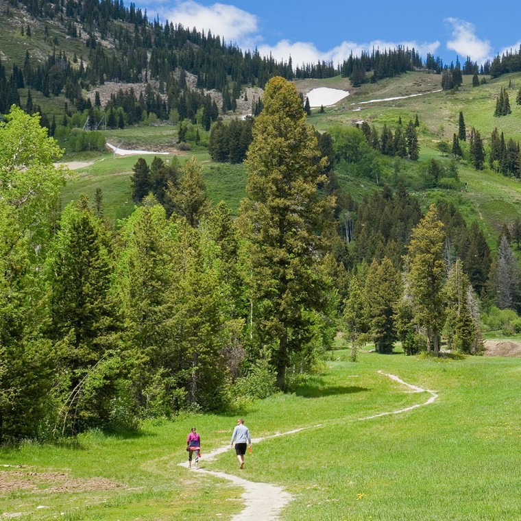 Family Walking in Jackson Hole 