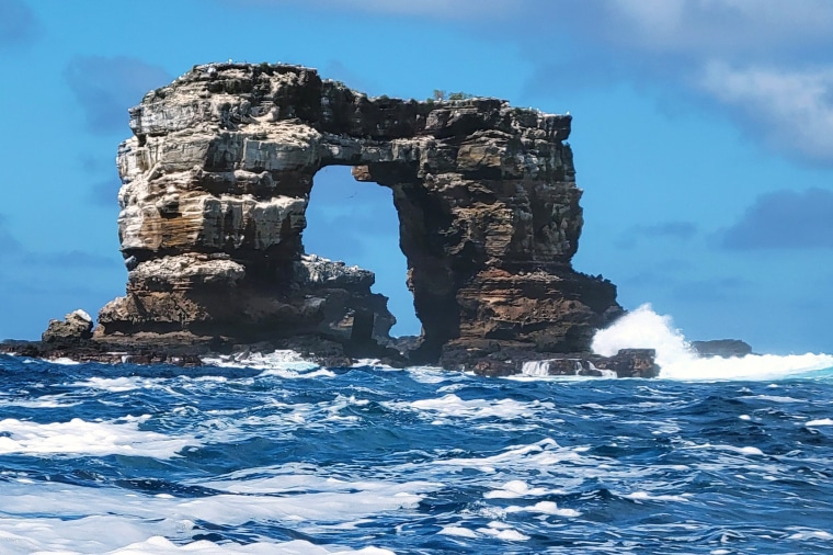 Image: Darwin's Arch