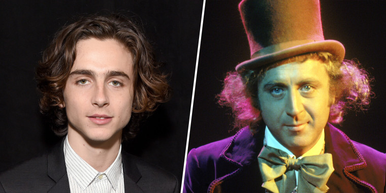 Timothee Chalamet cast as young Willy Wonka in Roald Dahl prequel film