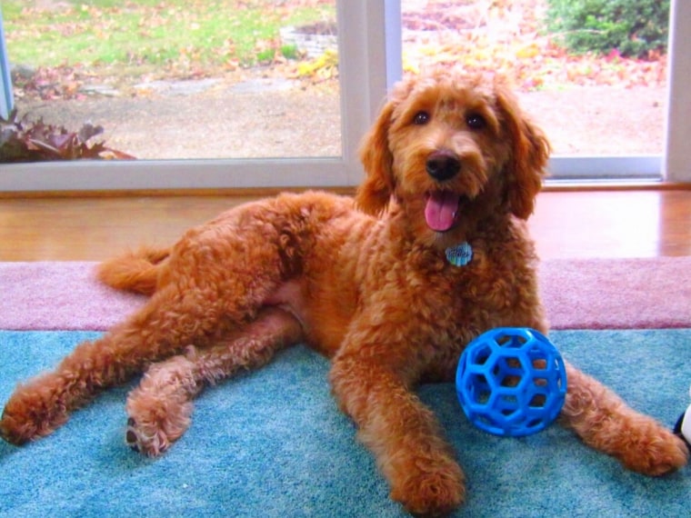 Alice Eloise with a ball