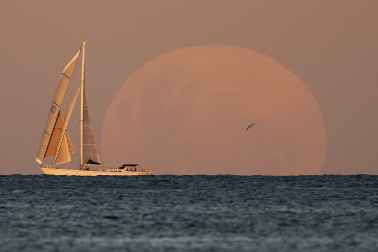 A yacht sails past as the Super Flower Blood Moon rises in Sydney on May 26, 2021.