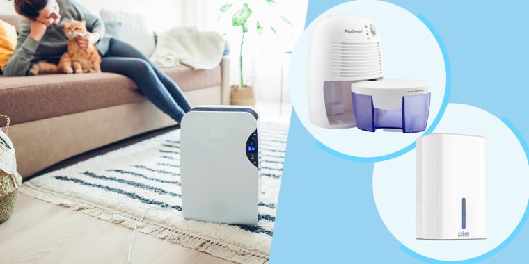 Illustration of a Dehumidifier with touch panel at home, while woman plays with cat, a Pure Enrichment PureDry Mini Dehumidifier and the Pro Breeze Electric Mini Dehumidifier