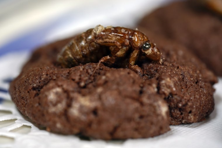 Image: Cicada cookie