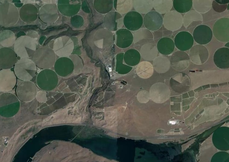 Les bâtiments de la ferme des 100 cercles sont au centre de cette image satellite.