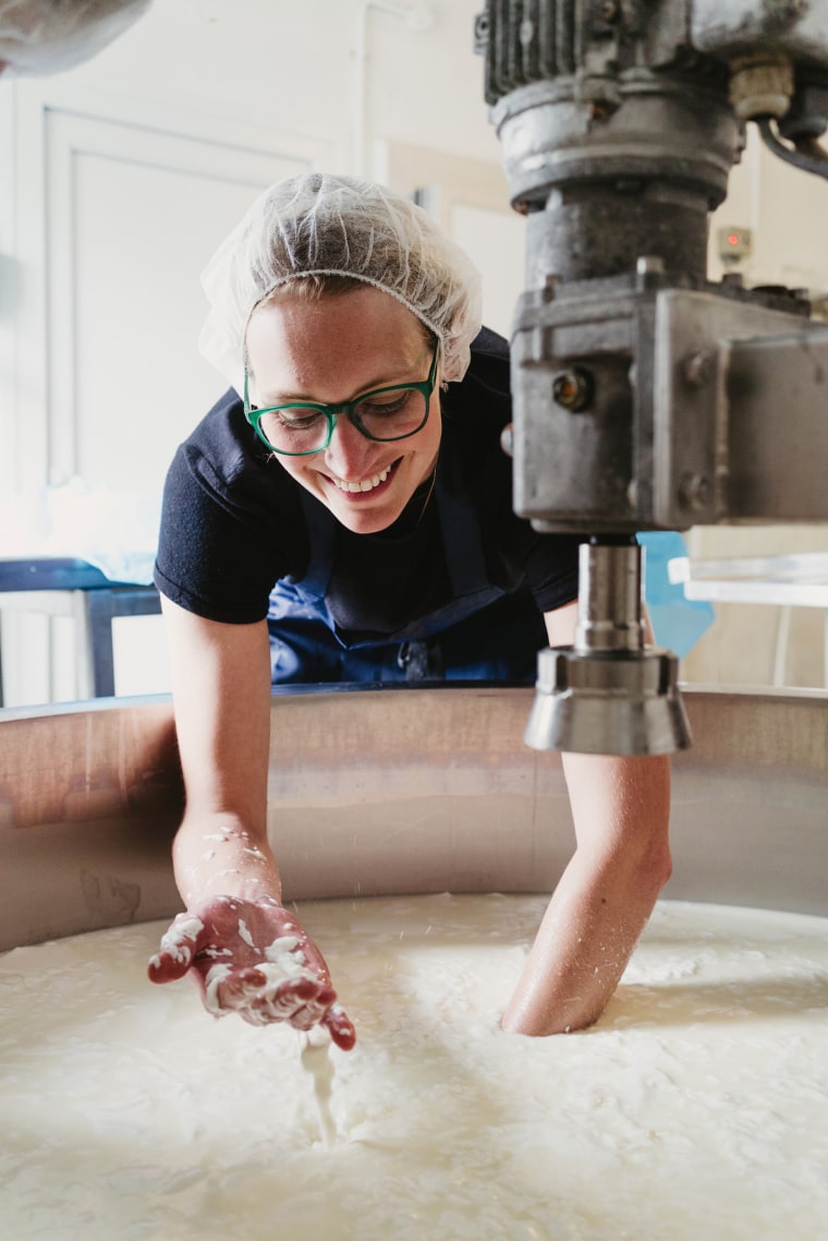 The making of a hard goat's milk cheese called Old Ford.